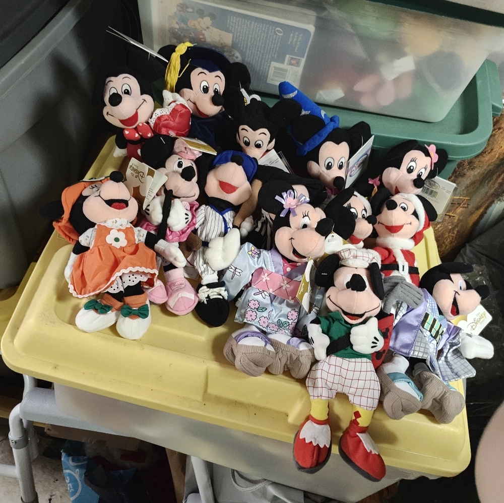 Disney Mickey and Minnie beanies.